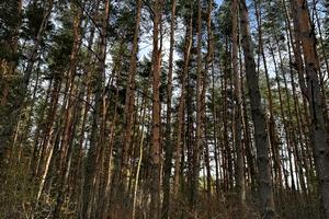 будинок за адресою Обїзна Львова