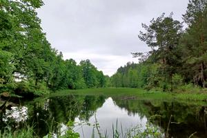 участок по адресу Київська