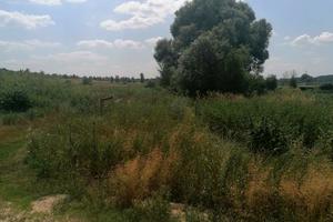 участок по адресу с. Мироцкое, 