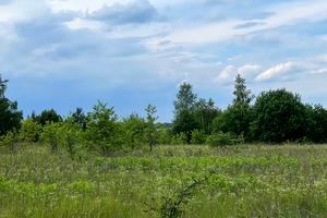 участок по адресу с. Михайловка-Рубежовка, 