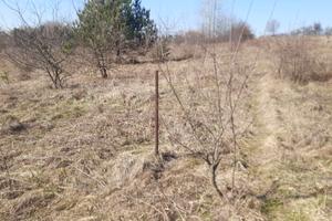 ділянка за адресою Береговий пров. (Горького)