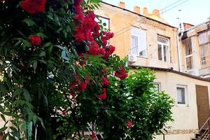 квартира за адресою Одеса, Преображенська вул., 42