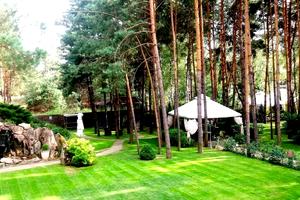 комерційна за адресою Боровкова вул., 81в