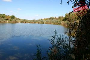 ділянка за адресою Тенистая