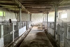 комерційна за адресою с. Липовець, Миру, 7