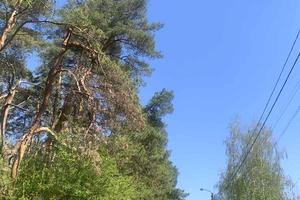ділянка за адресою Північна вул.