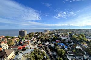 квартира по адресу Дача Ковалевского ул., 5