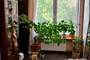 квартира по адресу Одесса, Мечникова ул., 110
