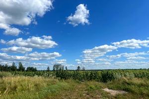 ділянка за адресою с. Майданівка, 