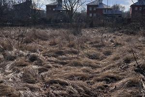 участок по адресу Дачная ул.