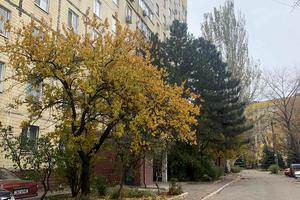 квартира по адресу Набережная Победы ул., 130