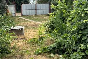 будинок за адресою Дачна 22