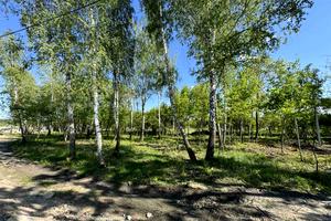 участок по адресу Ирпень, Федора Кричевського, 25б
