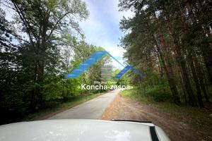 участок по адресу с. Плюты, 