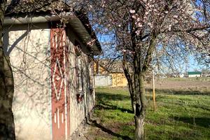 будинок за адресою Шевченка