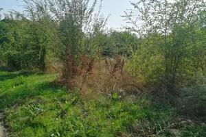 ділянка за адресою Черноморцев