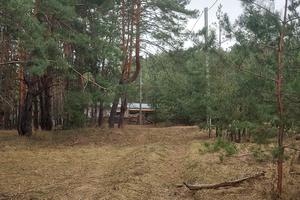 участок по адресу Васильков, 