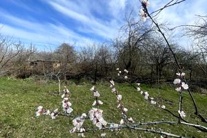 участок по адресу Весняна, 12
