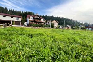 ділянка за адресою Олени Степанівні, 95