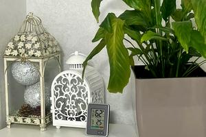 квартира за адресою Карпенка вул., 34