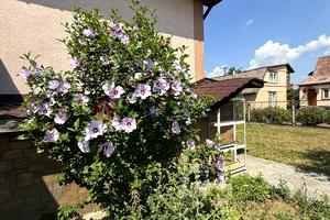 будинок за адресою вул. Малиннина, 51