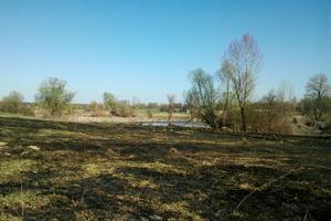 ділянка за адресою Стасюка