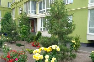 квартира за адресою Леваневців вул., 30/3