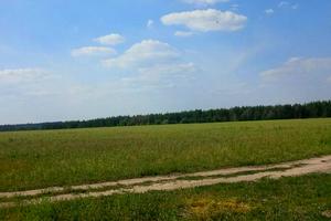 участок по адресу с. Наливайковка, лісова