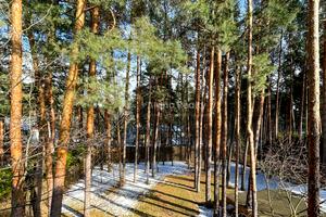 будинок за адресою Дачна вул.