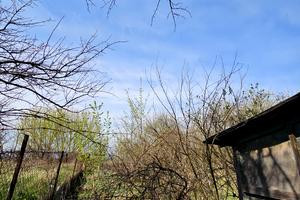 участок по адресу Ізумруд садове товариство, 407