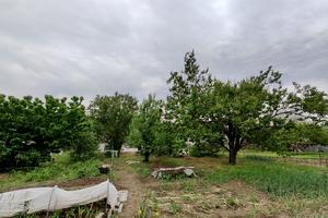 дом по адресу Болятка, 2а