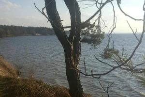 участок по адресу Городищанська