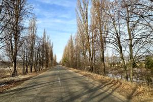 участок по адресу Васильківська, 22