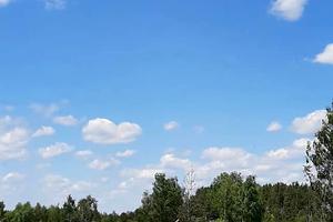 участок по адресу с. Дружня, Николая Петровского ул.