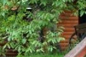 будинок за адресою Яремче, Камянка, 48