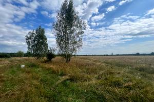 ділянка за адресою с. Козинці, 