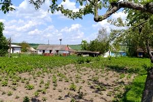 будинок за адресою вороніна