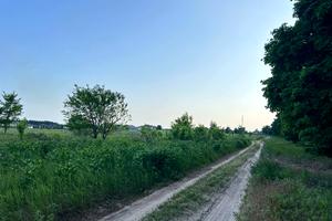 ділянка за адресою молодіжна