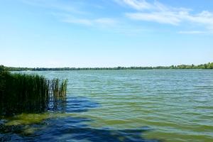 ділянка за адресою Моложанська