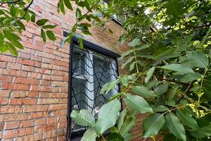 будинок за адресою Дніпрова