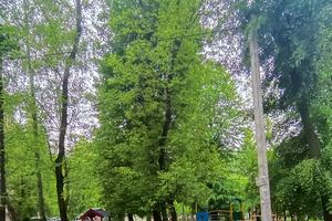 квартира за адресою Тернопільська вул., 3