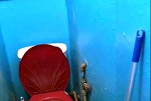 квартира за адресою Гвардійців-Широнінців вул., 73а
