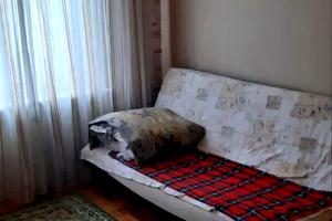 квартира по адресу Владислава Зубенко ул. (Тимуровцев), 25а