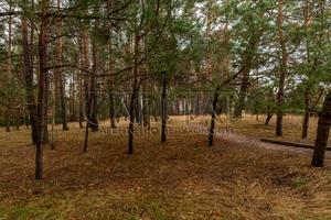 будинок за адресою с. Хлепча, центральна
