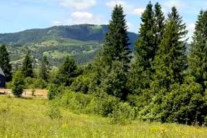 ділянка за адресою Лесі Українки