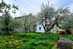 дом по адресу Дрогобыч, Січових Стрільців ул.