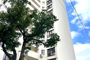 квартира за адресою Професорська вул., 18
