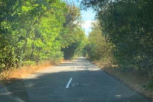 дом по адресу Світанкова