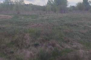 ділянка за адресою Старе село, 170
