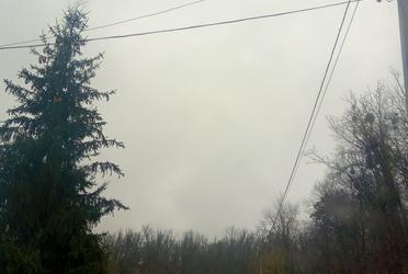 1781461737264162